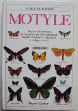 Kolekcjoner Motyle