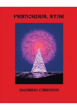 Primordial Star