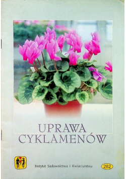 Uprawa cyklamenów