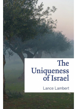The Uniqueness of Israel