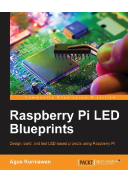 Raspberry Pi LED Blueprints
