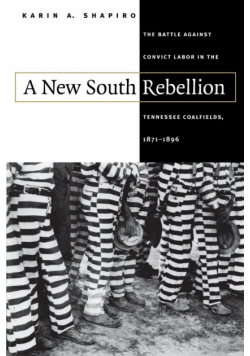 A New South Rebellion