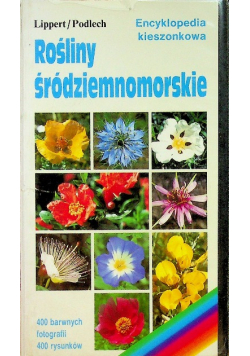 Rośliny śródziemnomorskie