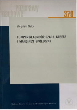 Lumpenwłasność szara strefa i margines społeczny
