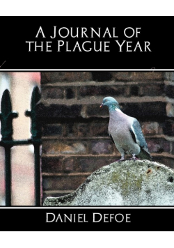 A Journal of the Plague Year