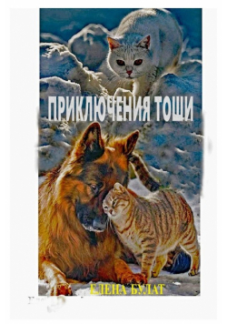 Приключения Тоши