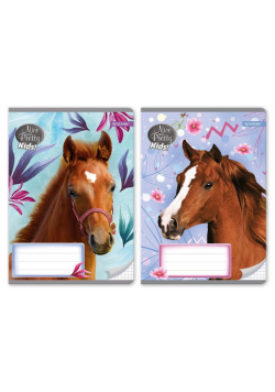 Zeszyt A5/32K linia Nice&Pretty (10szt)