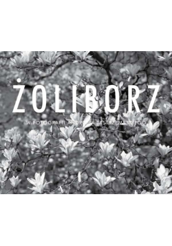Żoliborz w fotografii Andrzeja Jastrzembskiego