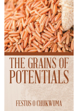 The Grains of Potentials