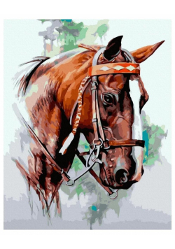 Malowanie po numerach - Koń brązowy 40x50cm