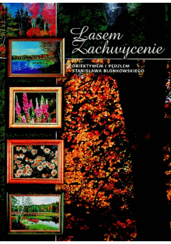 Lasem Zachwycenie obiektywem i pędzlem