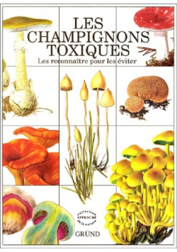 Les champignons toxiques