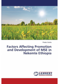 Factors Affecting Promotion and Development of MSE in Nekemte Ethiopia