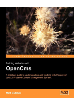 Building Websites with Opencms