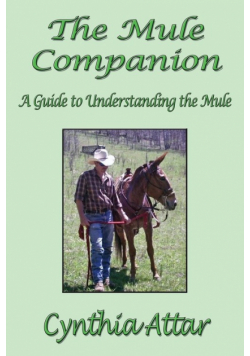 The Mule Companion