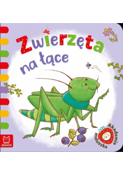 Zwierzęta na łące. Akademia maluszka