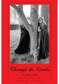 Through the Cracks