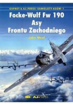 Focke - Wulf Fw 190 Asy Frontu Wschodniego