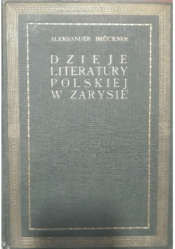 Dzieje literatury polskiej w zarysie 1921 r.