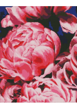 Diamentowa mozaika - Aksamitne piwonie 40x50cm