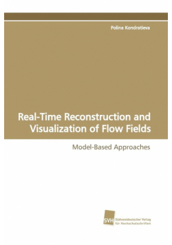 Real-Time Reconstruction and Visualization of Flow Fields