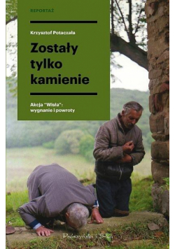 Zostały tylko kamienie DL
