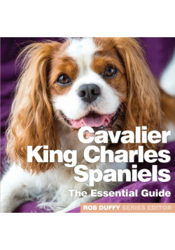 Cavalier King Charles Spaniels