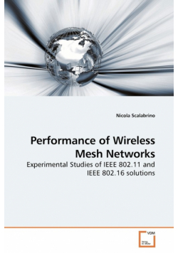 Performance of Wireless Mesh Networks