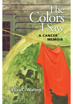 The Colors I Saw