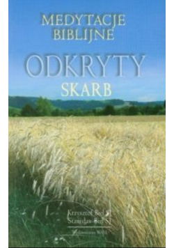 Odkryty skarb
