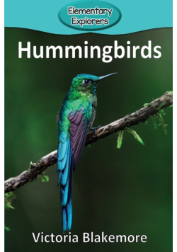Hummingbirds