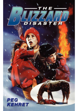 The Blizzard Disaster