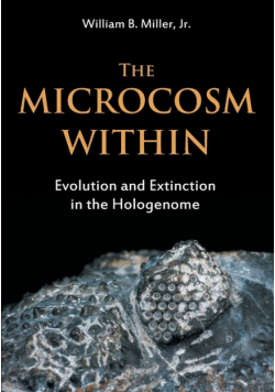 The Microcosm Within