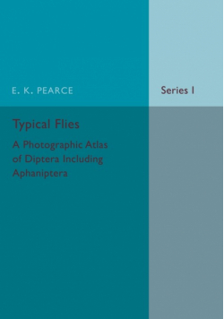 Typical Flies