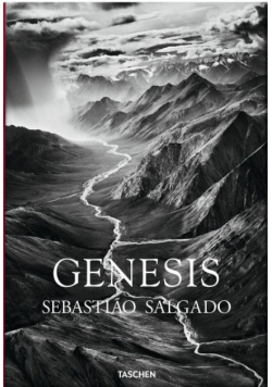 Salgado Genesis