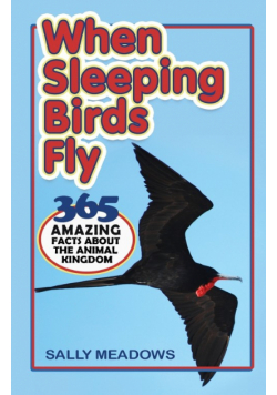 When Sleeping Birds Fly