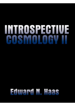 Introspective Cosmology II
