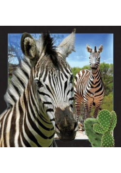 Pocztówka 3D - Zebra