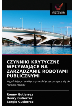 Czynniki Krytyczne Wpływające Na Zarządzanie Robotami Publicznymi