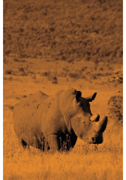 Alive! white rhino - Sepia - Photo Art Notebooks (6 x 9 version)