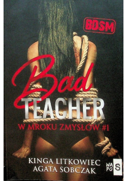 Bad Teacher W mroku zmysłów 1