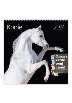 Kalendarz 2024 30x30 Konie HELMA