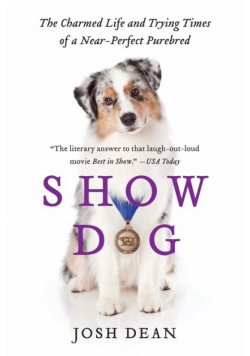 Show Dog