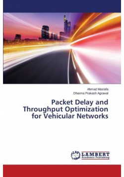 Packet Delay and Throughput Optimization for Vehicular Networks