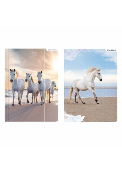 Teczka z gumką A4 Horses 10 sztuk