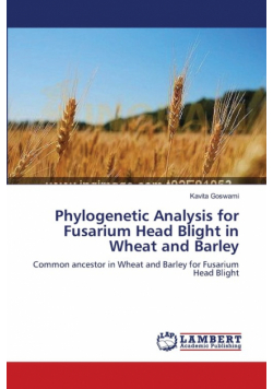 Phylogenetic Analysis for Fusarium Head Blight in Wheat and Barley