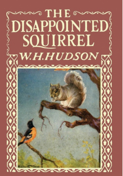 The Disappointed Squirrel - Illustrated by Marguerite Kirmse