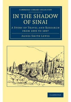 In the Shadow of Sinai