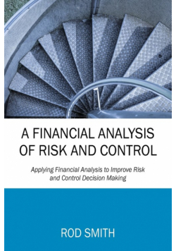 A Financial Analysis of Risk and Control