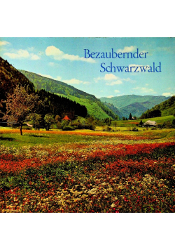 Bezaubernder Schwarzwald